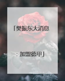 樊振东大消息：加盟德甲