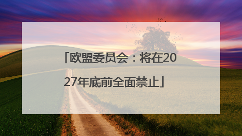欧盟委员会：将在2027年底前全面禁止