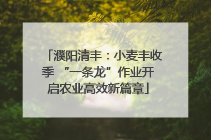 濮阳清丰：小麦丰收季 “一条龙”作业开启农业高效新篇章