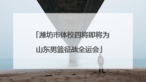 潍坊市体校四将即将为山东男篮征战全运会