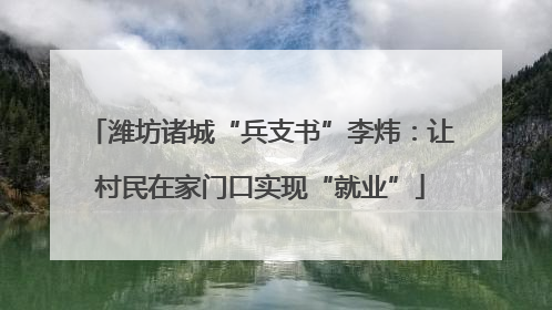潍坊诸城“兵支书”李炜：让村民在家门口实现“就业”