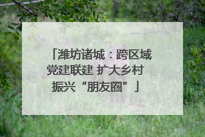 潍坊诸城：跨区域党建联建 扩大乡村振兴“朋友圈”
