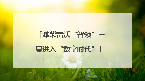 潍柴雷沃“智领”三夏进入“数字时代”