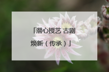 潜心授艺 古剧焕新（传承）