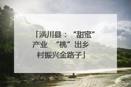 潢川县：“甜蜜”产业  “桃”出乡村振兴金路子