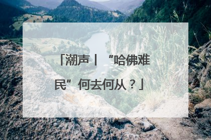 潮声丨“哈佛难民”何去何从？