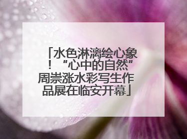 水色淋漓绘心象！“心中的自然”周崇涨水彩写生作品展在临安开幕