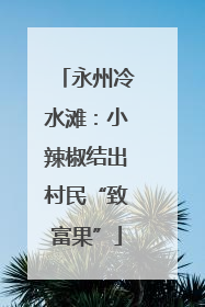 永州冷水滩：小辣椒结出村民“致富果”