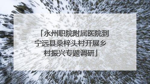 永州职院附属医院到宁远县桑梓头村开展乡村振兴专题调研