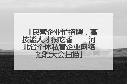 民营企业忙招聘，高技能人才很吃香——河北省个体私营企业网络招聘大会扫描