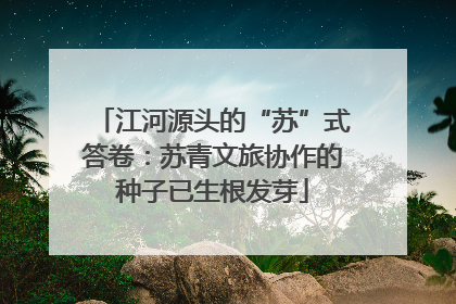 江河源头的“苏”式答卷：苏青文旅协作的种子已生根发芽