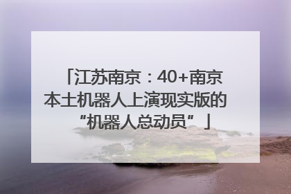 江苏南京：40+南京本土机器人上演现实版的“机器人总动员”