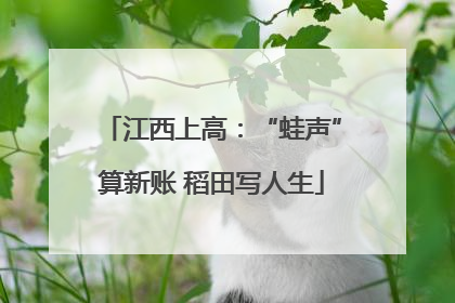 江西上高：“蛙声”算新账 稻田写人生