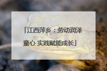 江西萍乡：劳动润泽童心 实践赋能成长