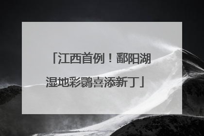 江西首例！鄱阳湖湿地彩鹮喜添新丁