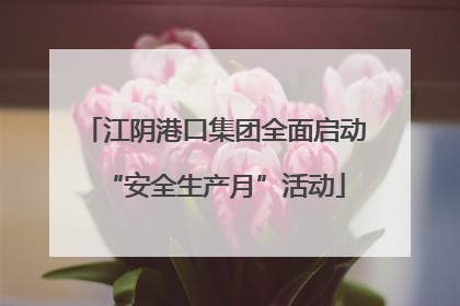 江阴港口集团全面启动“安全生产月”活动