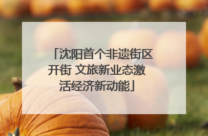 沈阳首个非遗街区开街 文旅新业态激活经济新动能