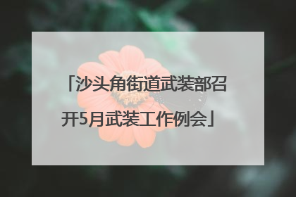 沙头角街道武装部召开5月武装工作例会