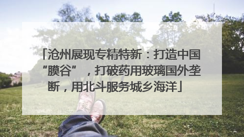沧州展现专精特新：打造中国“膜谷”，打破药用玻璃国外垄断，用北斗服务城乡海洋