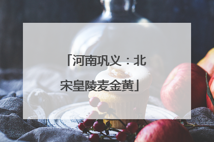 河南巩义：北宋皇陵麦金黄