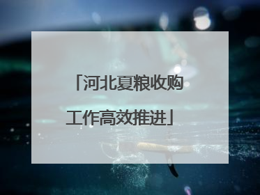 河北夏粮收购工作高效推进