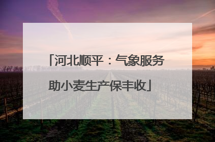 河北顺平：气象服务助小麦生产保丰收