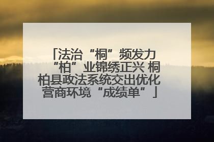法治“桐”频发力 “柏”业锦绣正兴 桐柏县政法系统交出优化营商环境“成绩单”