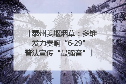 泰州姜堰烟草：多维发力奏响“6·29”普法宣传“最强音”