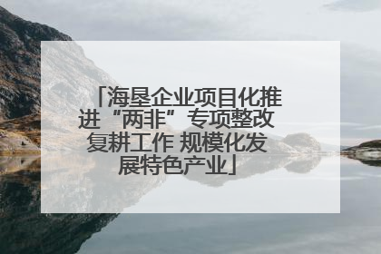 海垦企业项目化推进“两非”专项整改复耕工作 规模化发展特色产业