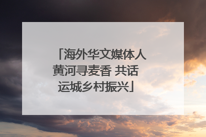 海外华文媒体人黄河寻麦香 共话运城乡村振兴
