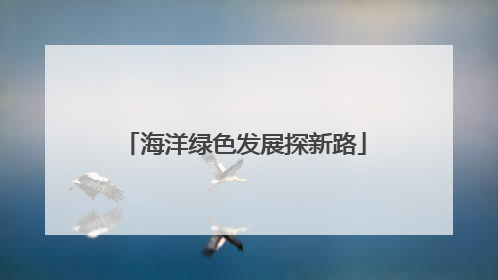 海洋绿色发展探新路