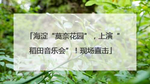 海淀“莫奈花园”，上演“稻田音乐会”！现场直击