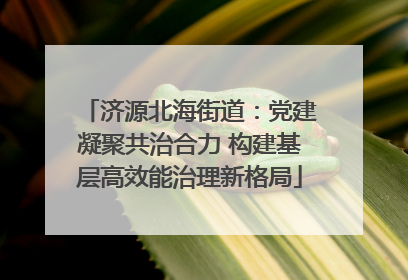 济源北海街道：党建凝聚共治合力 构建基层高效能治理新格局