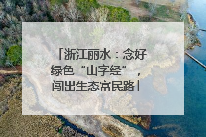 浙江丽水：念好绿色“山字经”，闯出生态富民路