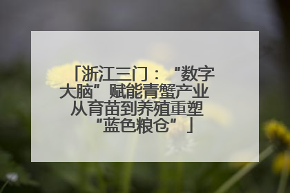 浙江三门：“数字大脑”赋能青蟹产业 从育苗到养殖重塑“蓝色粮仓”