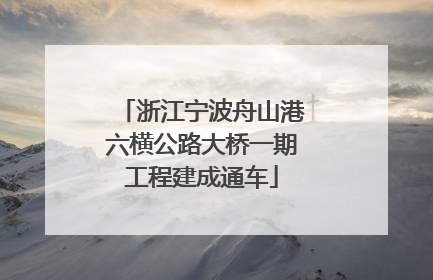 浙江宁波舟山港六横公路大桥一期工程建成通车