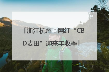 浙江杭州：网红“CBD麦田”迎来丰收季