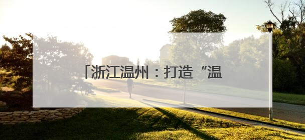 浙江温州：打造“温暖之家”吸引两岸“家人”相聚谋发展