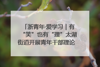 浙青年·爱学习｜有“笑”也有“理”太湖街道开展青年干部理论宣讲“开放麦”