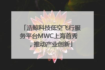 浩鲸科技低空飞行服务平台MWC上海首秀，推动产业创新