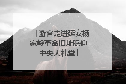 游客走进延安杨家岭革命旧址瞻仰中央大礼堂