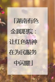 湖南有色金属职院：让红色精神在为民服务中闪耀