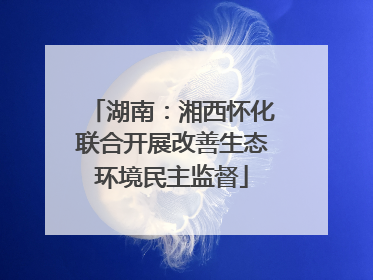 湖南：湘西怀化联合开展改善生态环境民主监督