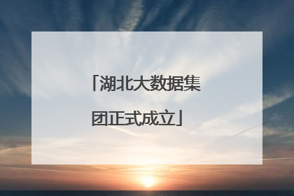 湖北大数据集团正式成立