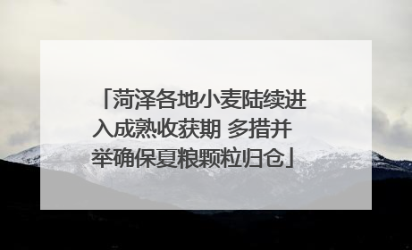 菏泽各地小麦陆续进入成熟收获期 多措并举确保夏粮颗粒归仓