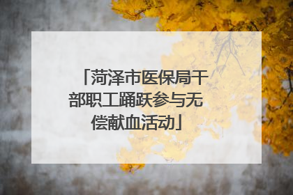 菏泽市医保局干部职工踊跃参与无偿献血活动