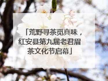 荒野寻茶觅真味，红安县第九届老君眉茶文化节启幕
