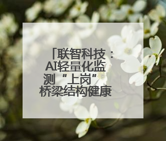 联智科技：AI轻量化监测“上岗” 桥梁结构健康“上云”