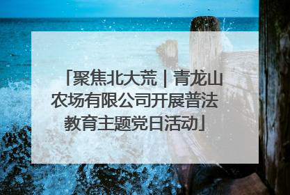 聚焦北大荒｜青龙山农场有限公司开展普法教育主题党日活动