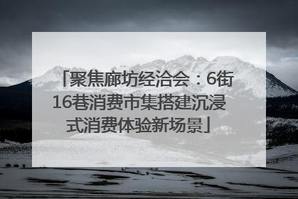聚焦廊坊经洽会：6街16巷消费市集搭建沉浸式消费体验新场景